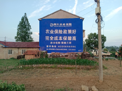  大余墙体广告的优劣势你知道吗？