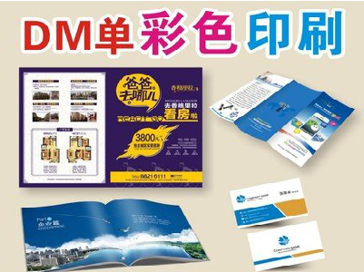  大余单页印刷，色彩搭配简单。